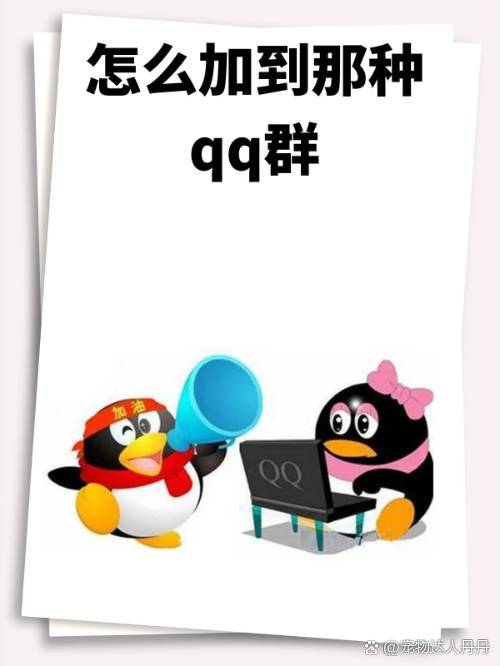 扣扣加群软件手机版(群加人软件安卓版) 扣扣加群软件手机版(群加人软件安卓版)