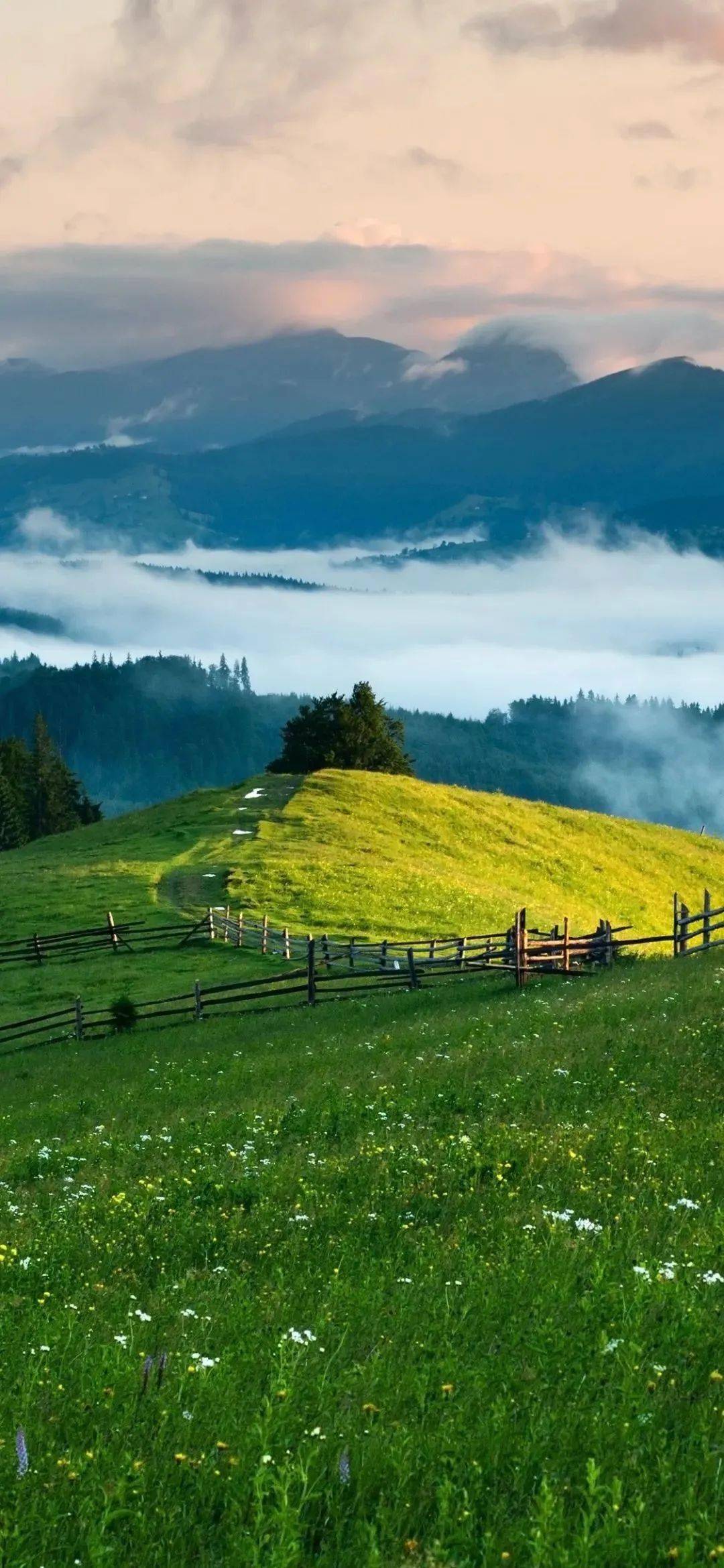 关于91桌面下载手机版的信息 关于91桌面下载手机版的信息