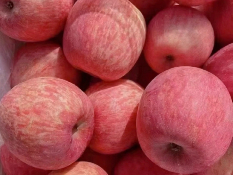 加油版苹果(加油江苏苹果版) 加油版苹果(加油江苏苹果版)