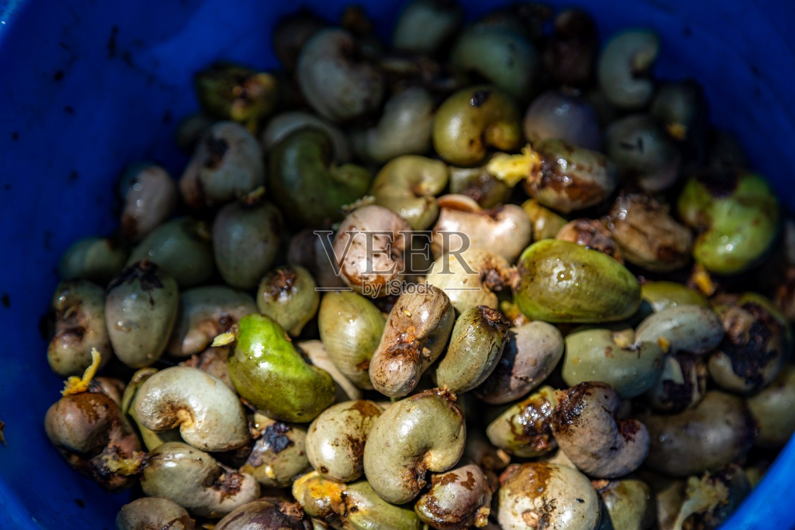 腰果苹果版(腰果影视安卓版下载) 腰果苹果版(腰果影视安卓版下载)