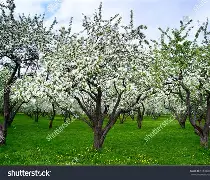 xthzpro苹果版(huazytop120帧和平精英) xthzpro苹果版(huazytop120帧和平精英)