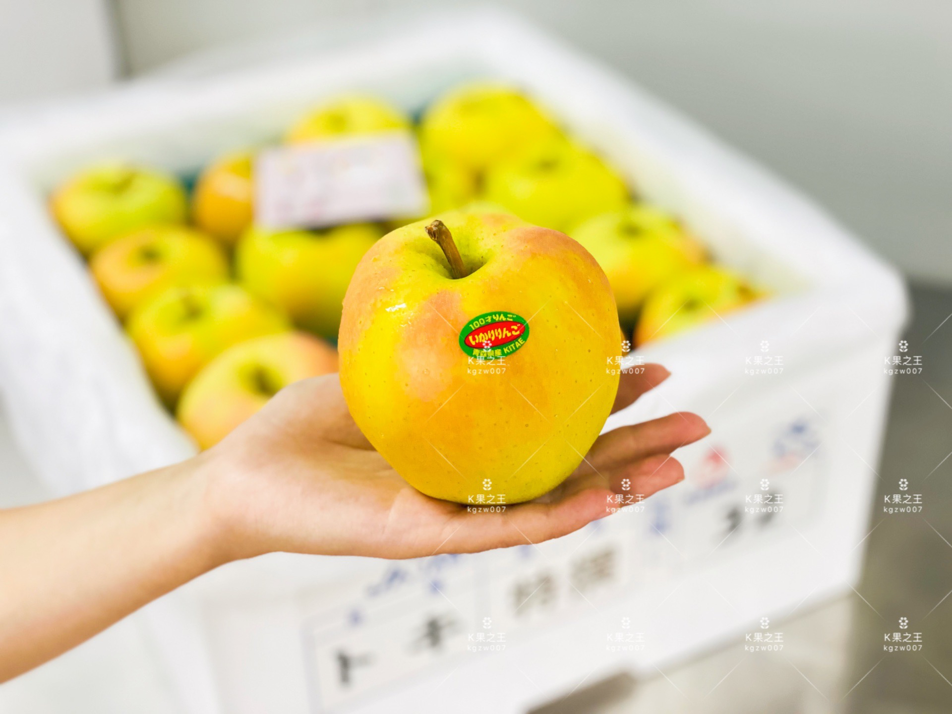 蜜柚qd苹果版(蜜柚现在叫什么名字)