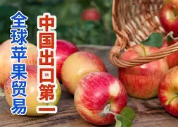 qbittorrentios苹果版的简单介绍 qbittorrentios苹果版的简单介绍