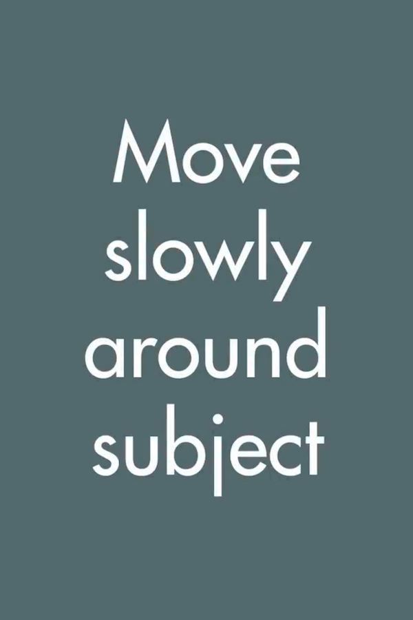 seene苹果版(Seetong苹果下载)