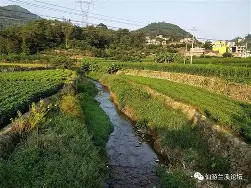 仙游苹果版(仙游苹果专卖店地址) 仙游苹果版(仙游苹果专卖店地址)