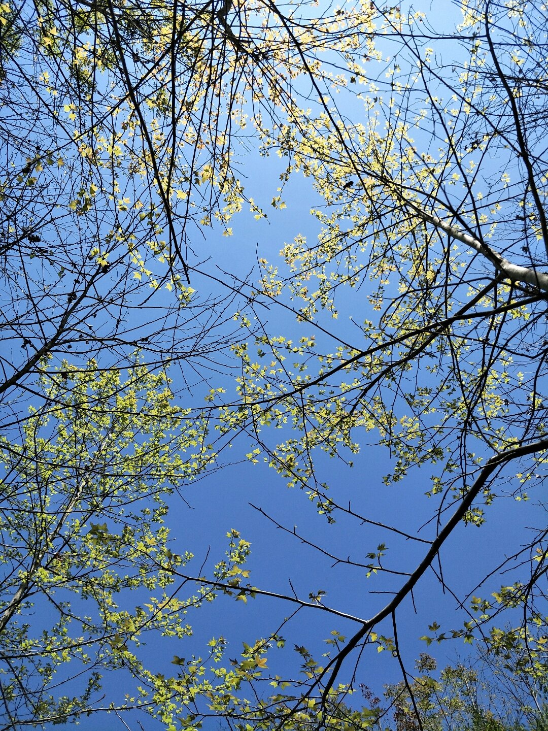 墨迹天气手机版2015(墨迹天气手机版下载免费安装) 墨迹天气手机版2015(墨迹天气手机版下载免费安装)