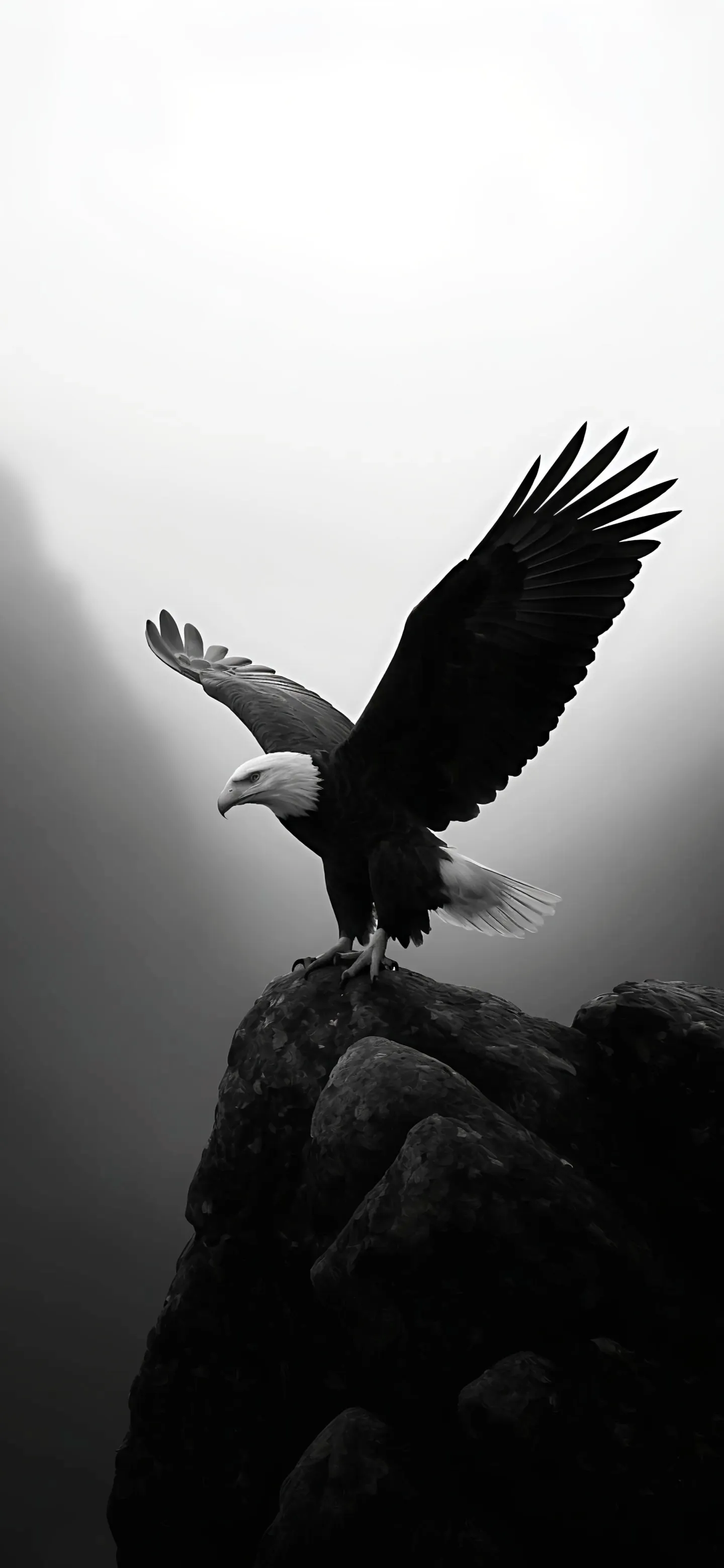 苹果手机全屏版(苹果全屏手机使用方法)