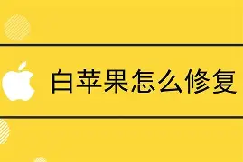91手机助手iphone版白苹果(91手机助手 for iphone)