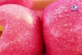 苹果权益版(苹果权益版手机能买吗)