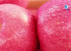 苹果版pubgpic(苹果版pubg安装包获取大陆)