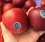 苹果派版小苹果(各种版本的小苹果)