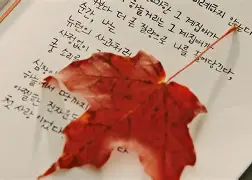 孤单惊魂手机版(孤单惊魂手机版攻略)