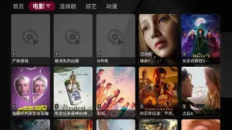 饭团影视tv手机版下载(饭团影视tv手机版下载安装)