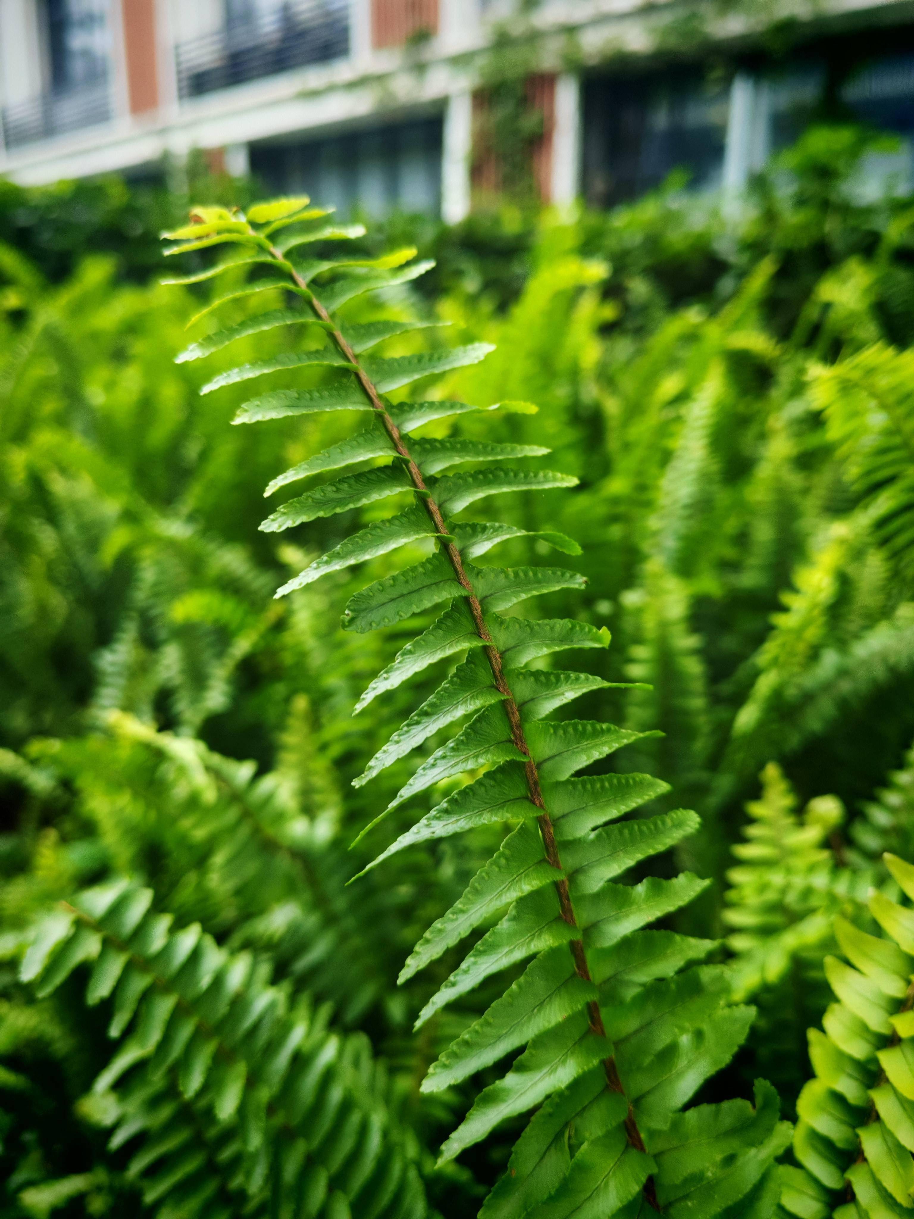 户外最强拍摄手机版(户外拍照什么相机最好)