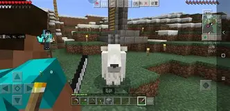 手机版联机生存模式攻略(手机版联机生存模式攻略视频)