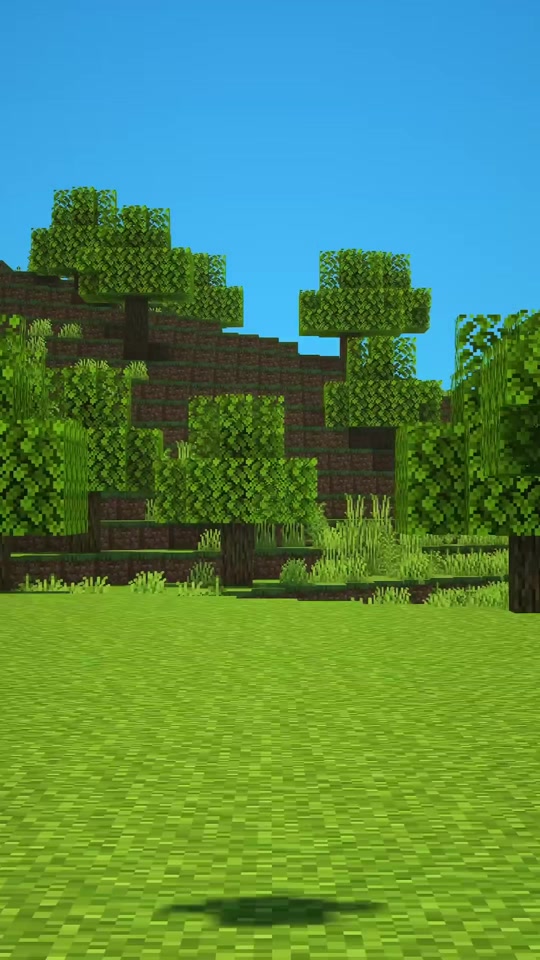 我的世界手机版坟墓(我的世界里面有坟墓的地方是干嘛的)