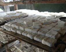 关于绝对音感培养软件手机版的信息