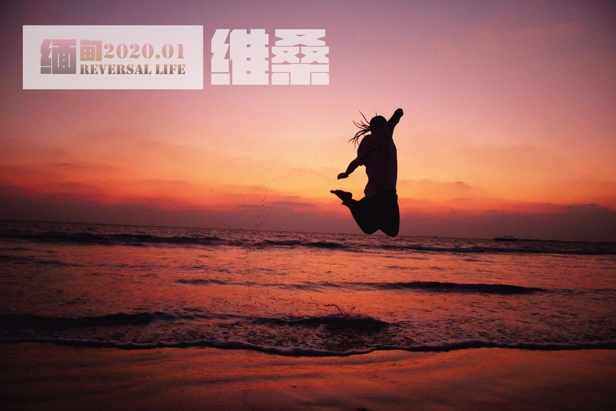 自由之城在线手机版(自由之城在线手机版下载)