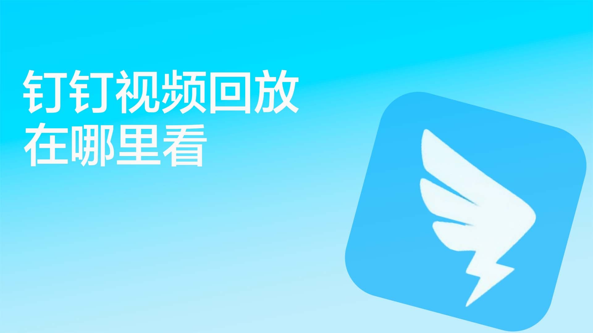 钉钉手机版视频回放(钉钉手机版视频回放怎么下载)