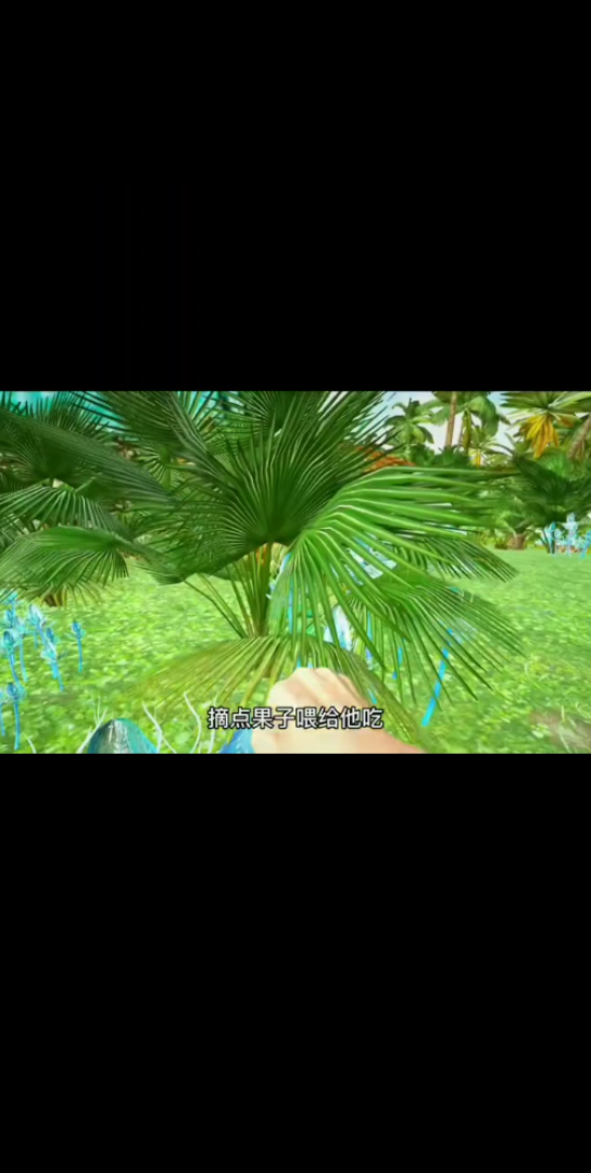 关于手机版怎么驯服嘟嘟鸟的信息