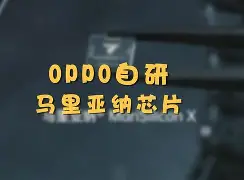 怎么隐藏手机版qq号(怎么隐藏手机版号不被发现)