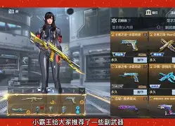 手机版副武器推荐大全(副武器加不加枪的攻击力)