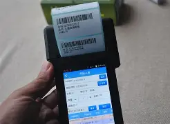 程念宜补作业版收手机版(卷王校长在线课改时光语小说免费阅读)