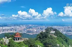 刀剑手机版晋江的简单介绍