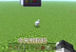 我的世界手机版131(我的世界手机版枪械模组免费)