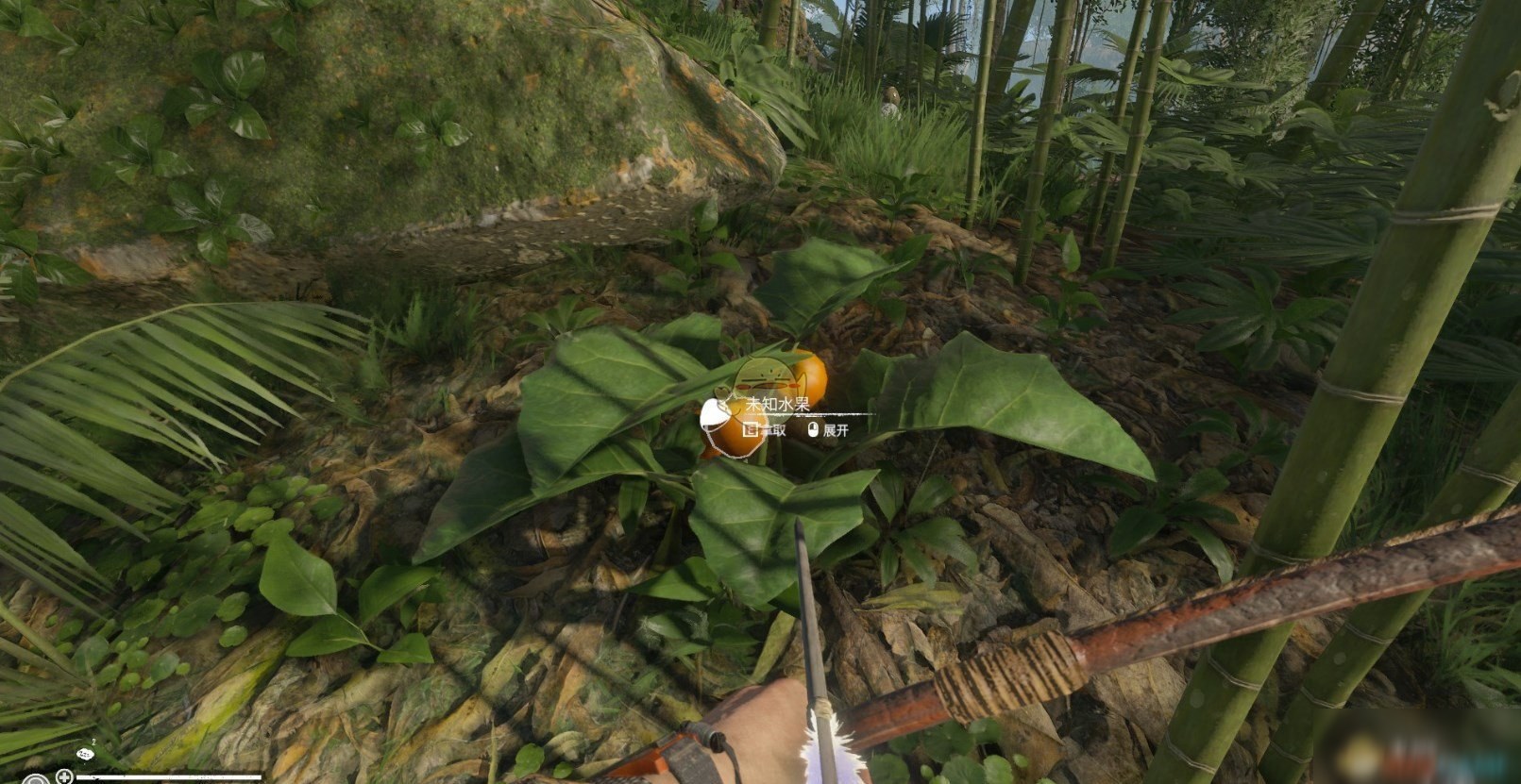 绿色地狱手机版在线玩(绿色地狱手机下载中文版本免费)