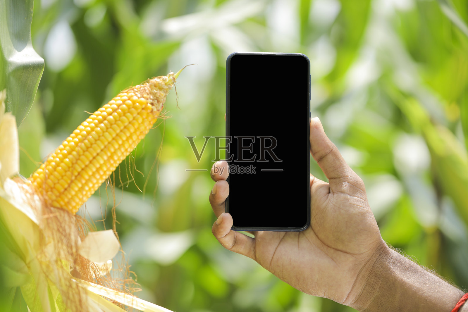 手机摄影下载安装手机版(手机摄影下载安装手机版苹果)