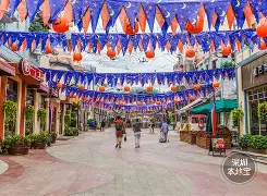 欢乐秀手机下载苹果版(欢乐秀手机下载苹果版安装)