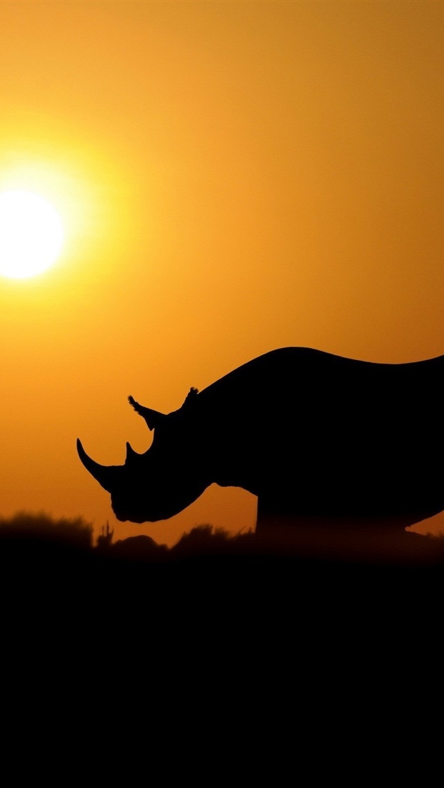 包含犀牛官方下载手机版的词条