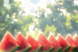 西瓜视频手机版做合集(西瓜视频怎样用手机做合集)