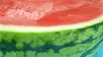 金瓶梅西瓜视频手机版(西瓜视频在线观看完整版免费)
