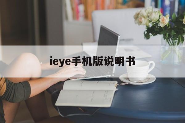 ieye手机版说明书(eyu手机怎么设置时间)